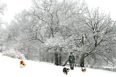 photo 0321